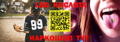 гидропоника Сланцы