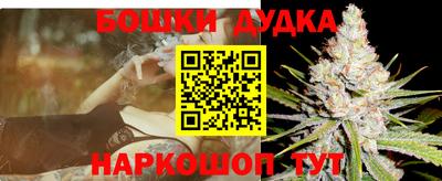 гидропоника Сланцы