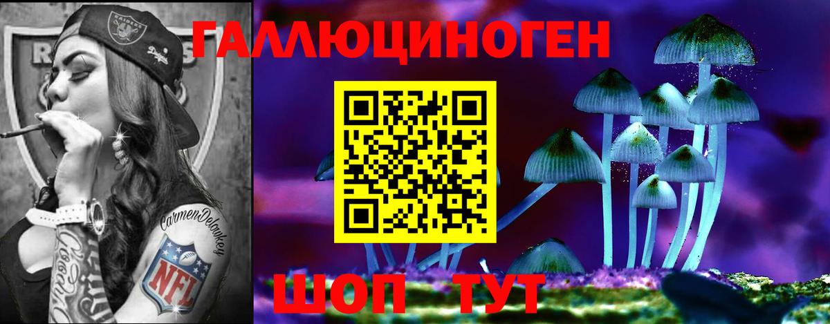 Дубна  Галлюциногенные грибы ЛСД  Вход с VPN 